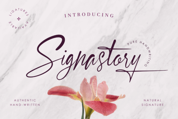 Signastory: Weaving Modern Calligraphy into Brand Stories That Feel Human