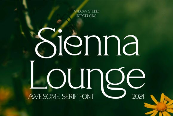 The Quiet Authority of Sienna Lounge in Modern Visual Storytelling